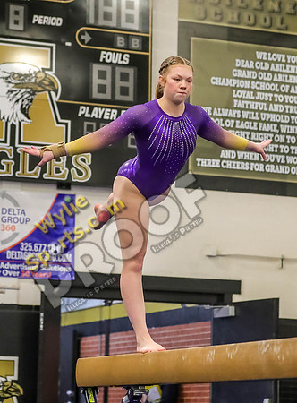 04-19-24 Regional Gymnastics Meet RK-119