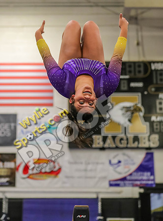 04-19-24 Regional Gymnastics Meet RK-169