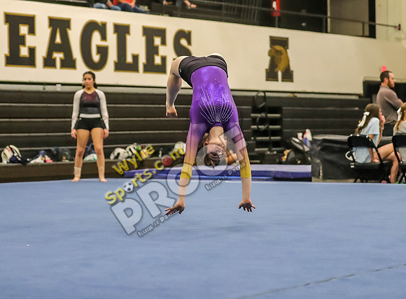 04-19-24 Regional Gymnastics Meet RK-274