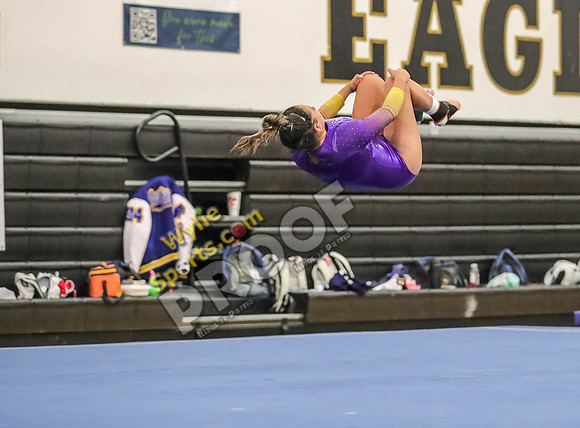 04-19-24 Regional Gymnastics Meet RK-275