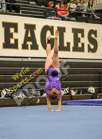04-19-24 Regional Gymnastics Meet RK-281
