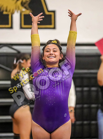 04-19-24 Regional Gymnastics Meet RK-293