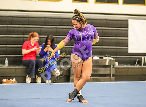 04-19-24 Regional Gymnastics Meet RK-294