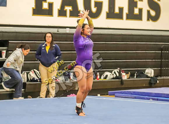 04-19-24 Regional Gymnastics Meet RK-297