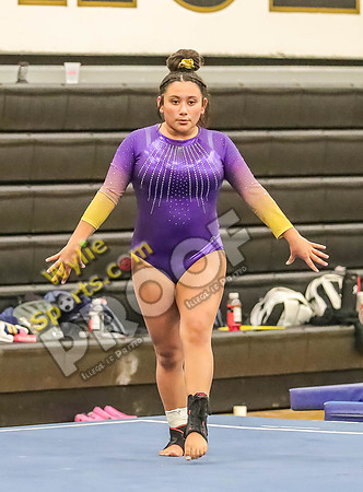04-19-24 Regional Gymnastics Meet RK-303