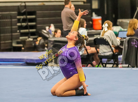 04-19-24 Regional Gymnastics Meet RK-339