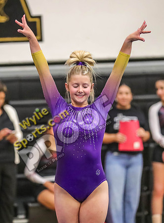 04-19-24 Regional Gymnastics Meet RK-346