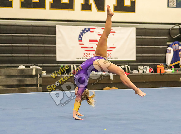 04-19-24 Regional Gymnastics Meet RK-357