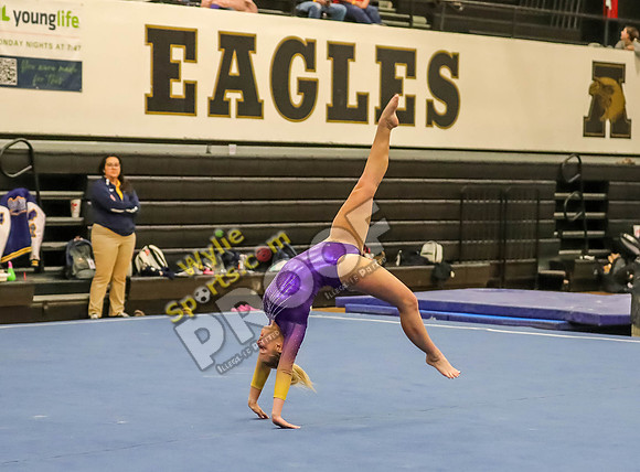 04-19-24 Regional Gymnastics Meet RK-359