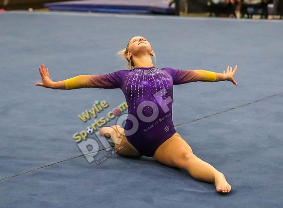 04-19-24 Regional Gymnastics Meet RK-391