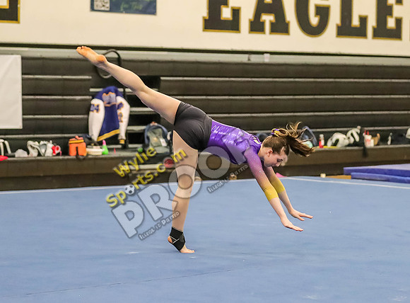 04-19-24 Regional Gymnastics Meet RK-430