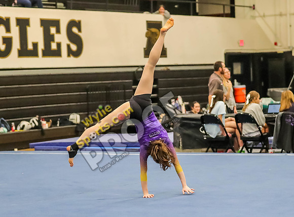 04-19-24 Regional Gymnastics Meet RK-433