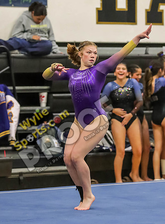 04-19-24 Regional Gymnastics Meet RK-489
