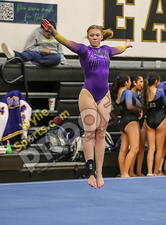 04-19-24 Regional Gymnastics Meet RK-492