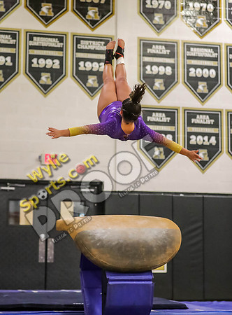 04-19-24 Regional Gymnastics Meet RK-530