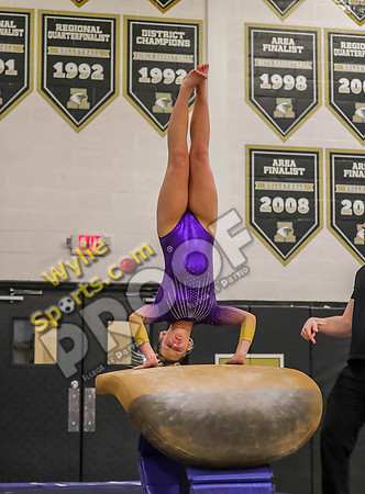 04-19-24 Regional Gymnastics Meet RK-531