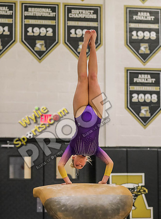 04-19-24 Regional Gymnastics Meet RK-545