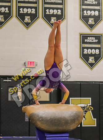 04-19-24 Regional Gymnastics Meet RK-551