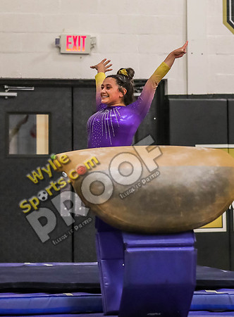 04-19-24 Regional Gymnastics Meet RK-575