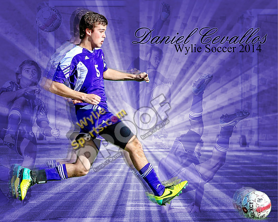 Cevallos_16x20_01