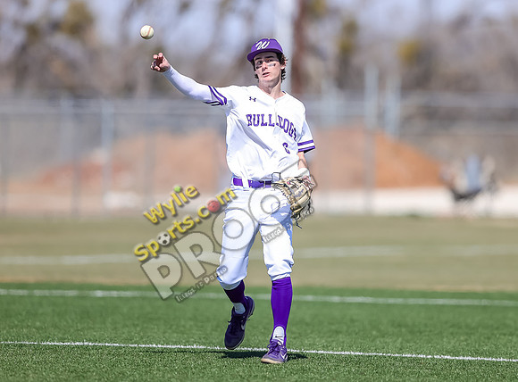 2-22-2025 Wall v Wylie TS-290-2