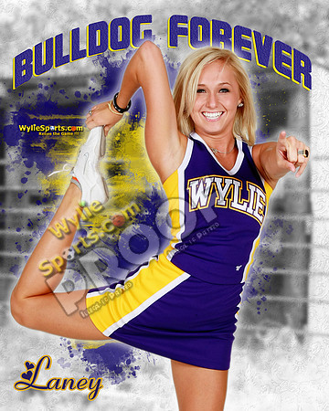Laney_2013_16x20_01