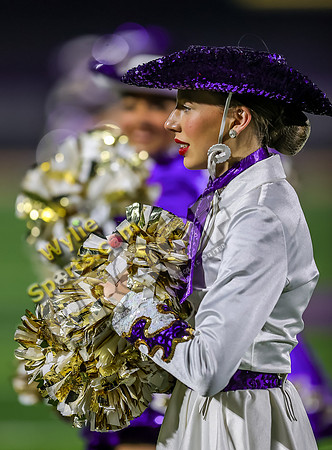 11-22-2024 Wylie v Anna TS-393