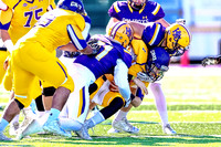 HD_2015_11_21_0408