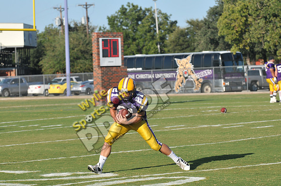 20081006_0062