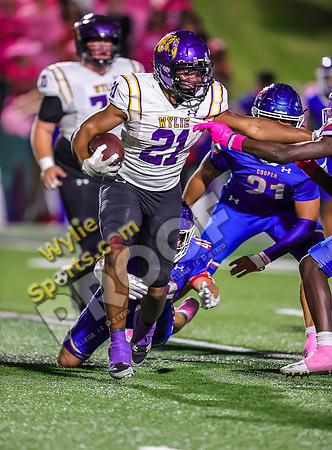 10-04-2024 Wylie v Cooper TS-838
