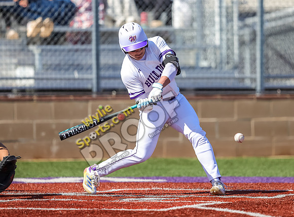 2-22-2025 Wall v Wylie TS-324-2