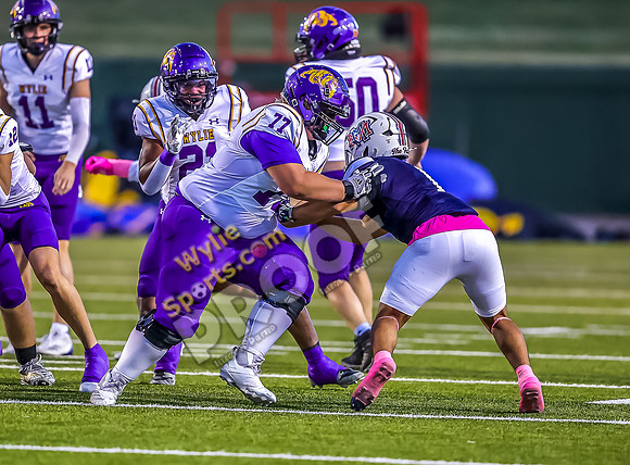 10-18-2024 Wylie v WF Memorial TS-419-2
