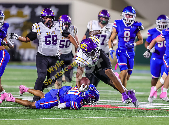 10-04-2024 Wylie v Cooper TS-877