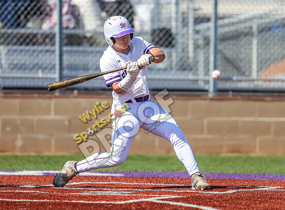 2-22-2025 Wall v Wylie TS-298-2