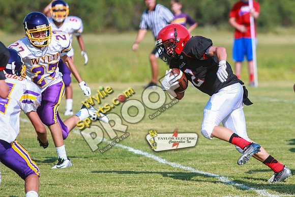 IMG_8124
