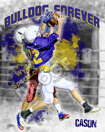 Cason_2013_16x20_01