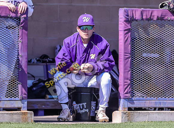 2-22-2025 Wall v Wylie TS-316-2