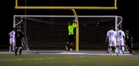 Wylie vs. SALV by Bonnie Hall