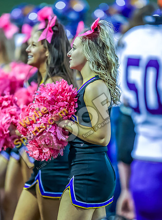 10-18-2024 Wylie v WF Memorial TS-431-2