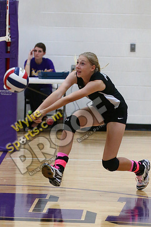2013_10_11_3387