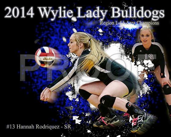 Hanna_16x20-3