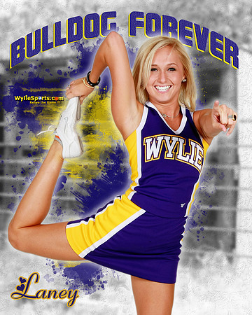 Laney_2013_16x20_01