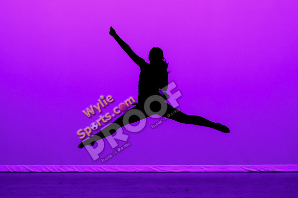 04-24-25 Wylie Belles Spring Show RK-2168