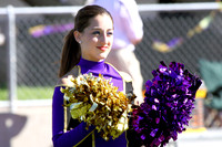 2009_11_07_3006