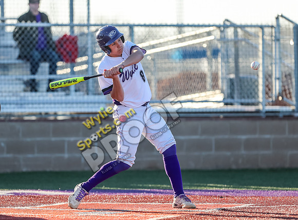 03-20-25 Wylie Gold vs Cooper JV Blue RK-33