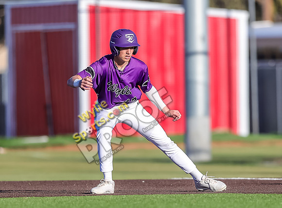 3-20-2025 Wylie JV Purple v Cooper TS-534