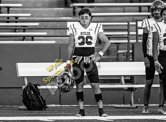 10-04-2024 Wylie v Cooper TS-824-2