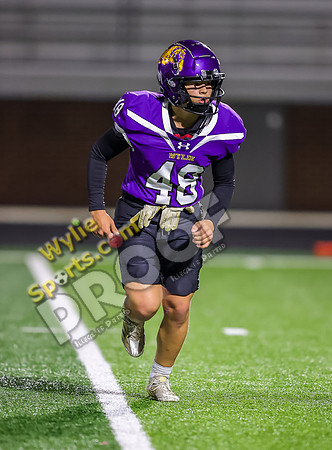 11-22-2024 Wylie v Anna TS-388