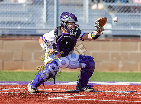 2-22-2025 Wall v Wylie TS-310-2