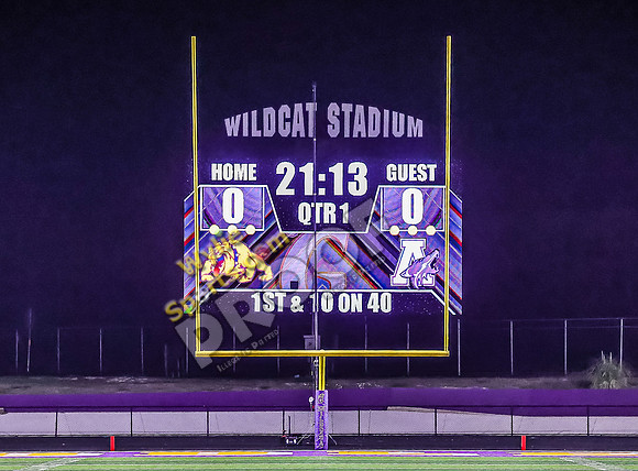 11-22-2024 Wylie v Anna TS-502